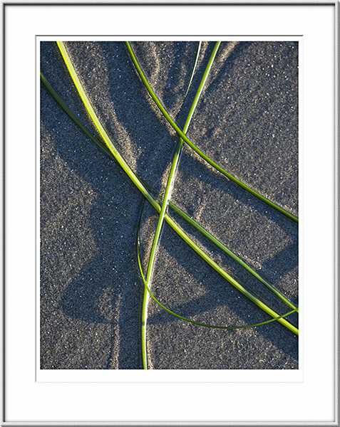 Image ID: 100-183-1 : Seagrass, Shadows, and Sand 